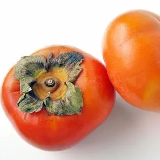 thumbnail for publication: Japanese Persimmon Cultivars in Florida
